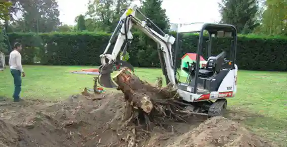Gestion des déchets et dessouchage